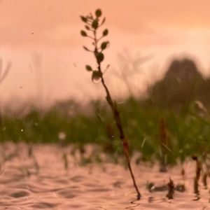 Meet your Posher, Adelina